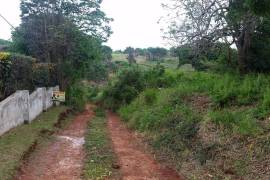 Residential Lot for Sale in Mandeville