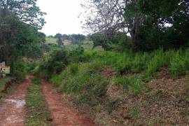 Residential Lot for Sale in Mandeville