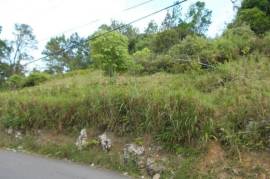 Residential Lot for Private in Christiana