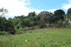 Residential Lot for Sale in Mandeville