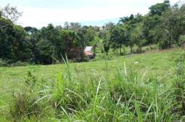 Residential Lot for Sale in Mandeville