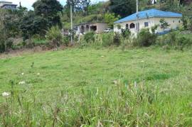 Residential Lot for Sale in Mandeville