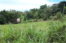 Residential Lot for Sale in Mandeville