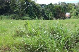 Residential Lot for Sale in Mandeville