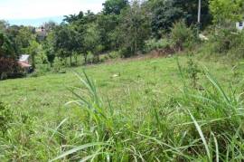 Residential Lot for Sale in Mandeville