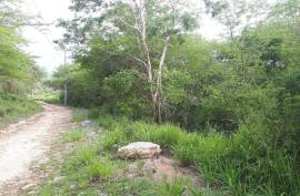 Residential Lot for Sale in Falmouth