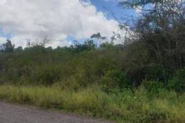 Residential Lot for Sale in Knockpatrick