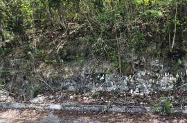 Residential Lot for Sale in Montego Bay