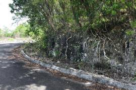 Residential Lot for Sale in Montego Bay