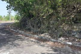 Residential Lot for Sale in Montego Bay