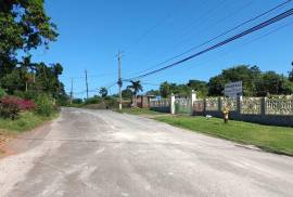 Residential Lot for Sale in Retreat