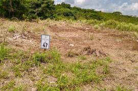 Residential Lot for Sale in Falmouth