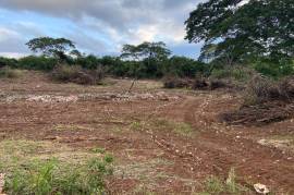 Residential Lot for Sale in Falmouth