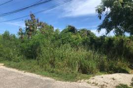 Residential Lot for Sale in Montego Bay