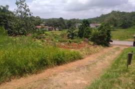 Residential Lot for Sale in Mandeville