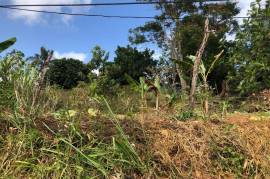 Residential Lot for Sale in Mandeville