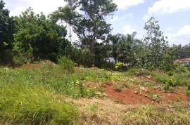 Residential Lot for Sale in Mandeville