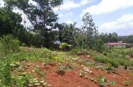 Residential Lot for Sale in Mandeville