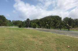 Residential Lot for Sale in Long Bay