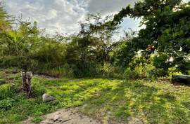 Residential Lot for Sale in White House WD