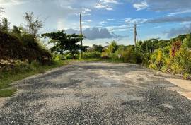 Residential Lot for Sale in White House WD