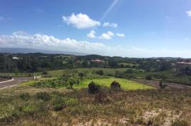 Residential Lot for Sale in Munroe College