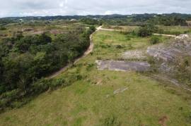 Residential Lot for Sale in Knockpatrick