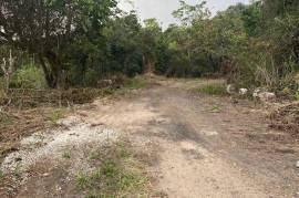 Residential Lot for Sale in Red Hills