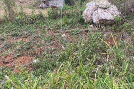 Residential Lot for Sale in Red Hills