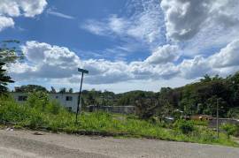 Residential Lot for Sale in Green Island