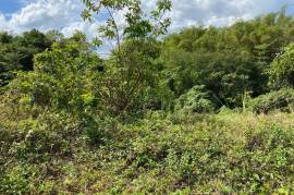 Residential Lot for Sale in Green Island