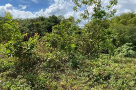 Residential Lot for Sale in Green Island