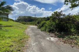 Residential Lot for Sale in Green Island