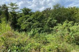 Residential Lot for Sale in Green Island