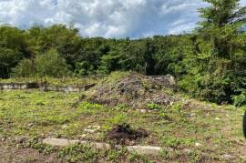 Residential Lot for Sale in Green Island