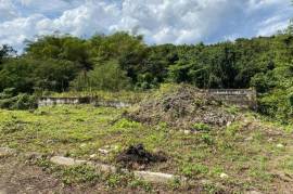 Residential Lot for Sale in Green Island