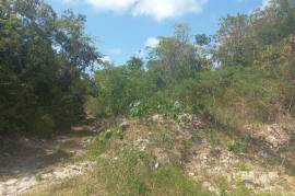 Residential Lot for Sale in Montego Bay