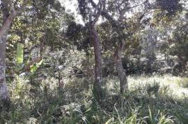 Residential Lot for Sale in Browns Town