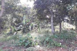 Residential Lot for Sale in Browns Town