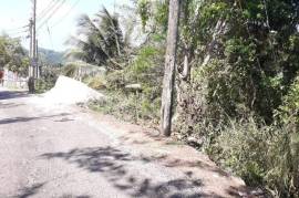 Residential Lot for Sale in Browns Town