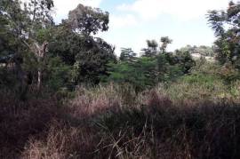 Residential Lot for Sale in Browns Town