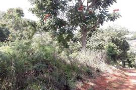 Residential Lot for Sale in Browns Town