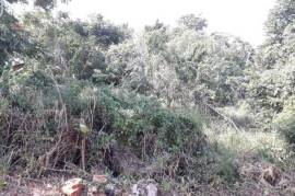 Residential Lot for Sale in Browns Town