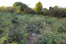 Residential Lot for Sale in May Pen