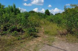 Residential Lot for Sale in May Pen