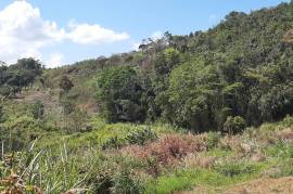 Residential Lot for Sale in James Hill