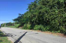 Residential Lot for Sale in Montego Bay