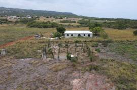 Residential Lot for Sale in Junction