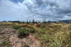 Residential Lot for Sale in Junction