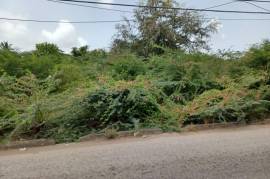 Residential Lot for Sale in Denbigh